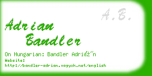 adrian bandler business card